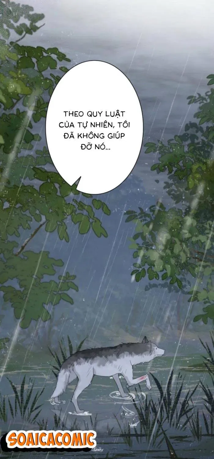 Khi Người Yêu Cũ Si Mê Tôi Chapter 4.1 - 12