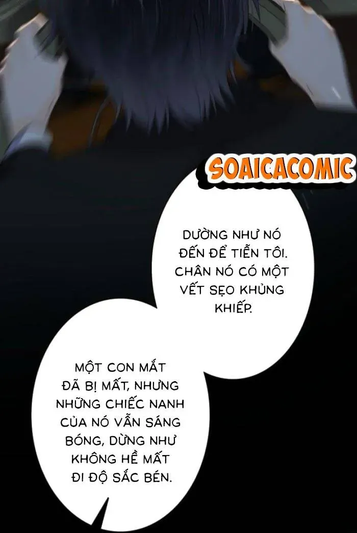 Khi Người Yêu Cũ Si Mê Tôi Chapter 4.1 - 15