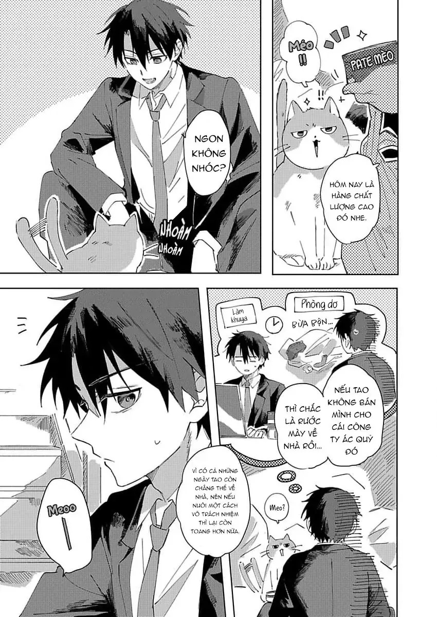 Neko No Tsuide Ni Otoko Wo Hiroimashita Chapter 1 - 8