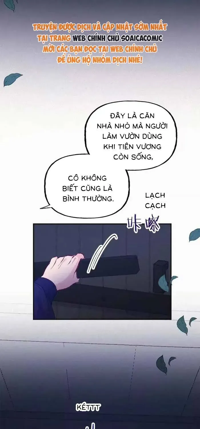 Bệ Hạ, Xin Hãy Ghét Ta Chapter 17 - 31