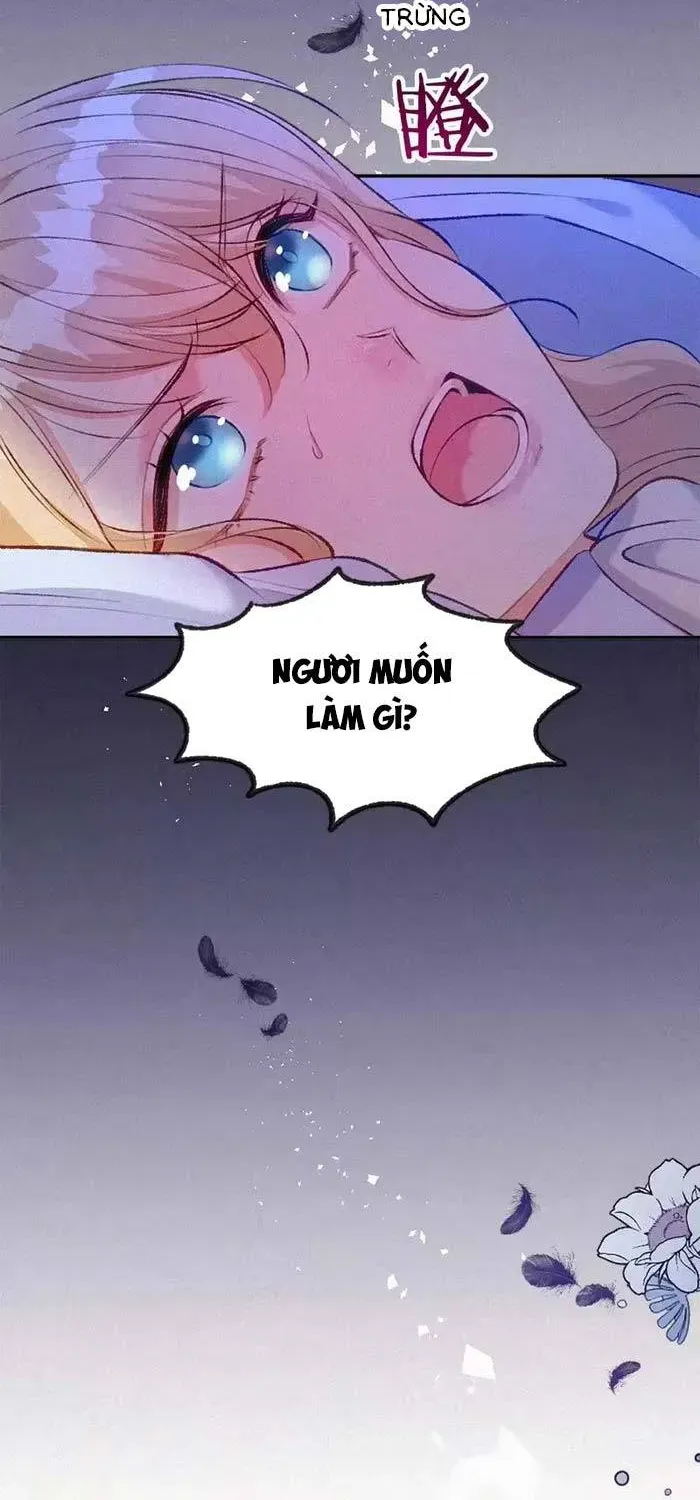 Bệ Hạ, Xin Hãy Ghét Ta Chapter 17 - 49
