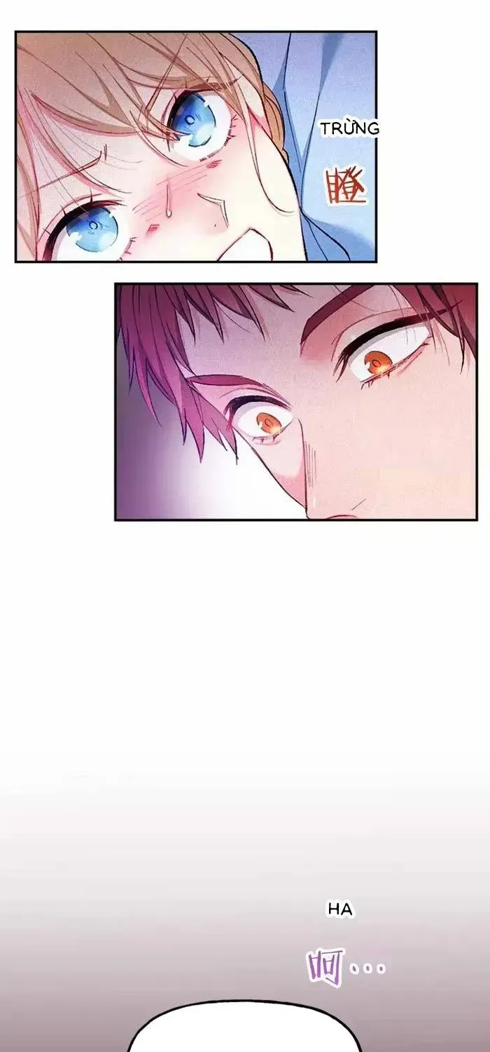 Bệ Hạ, Xin Hãy Ghét Ta Chapter 18 - 6