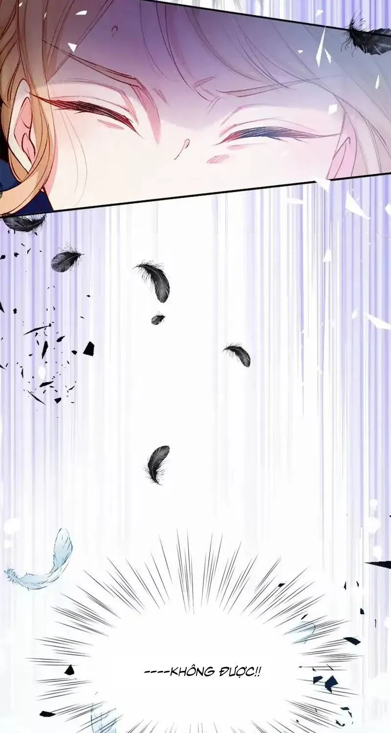 Bệ Hạ, Xin Hãy Ghét Ta Chapter 2 - 51