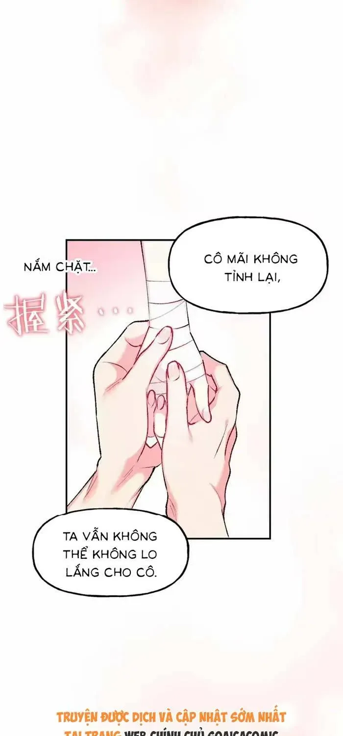 Bệ Hạ, Xin Hãy Ghét Ta Chapter 20 - 19
