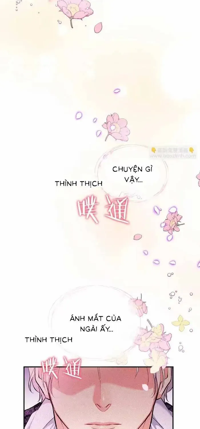 Bệ Hạ, Xin Hãy Ghét Ta Chapter 20 - 49