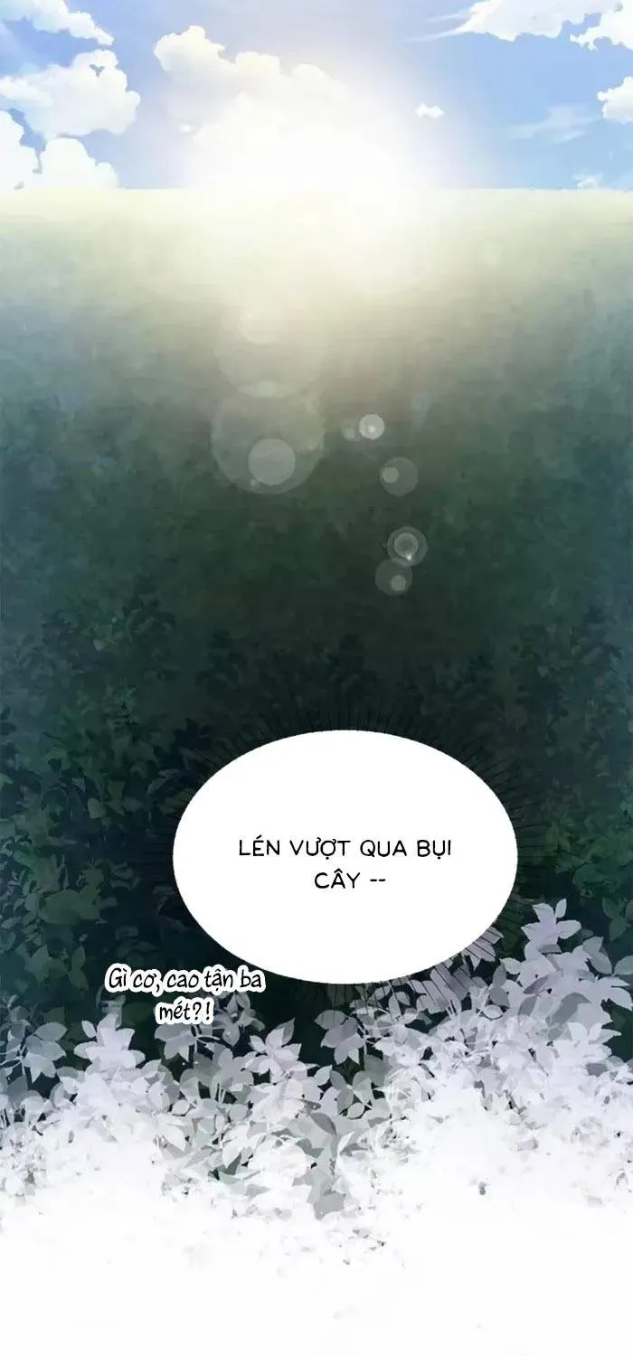 Bệ Hạ, Xin Hãy Ghét Ta Chapter 28 - 11