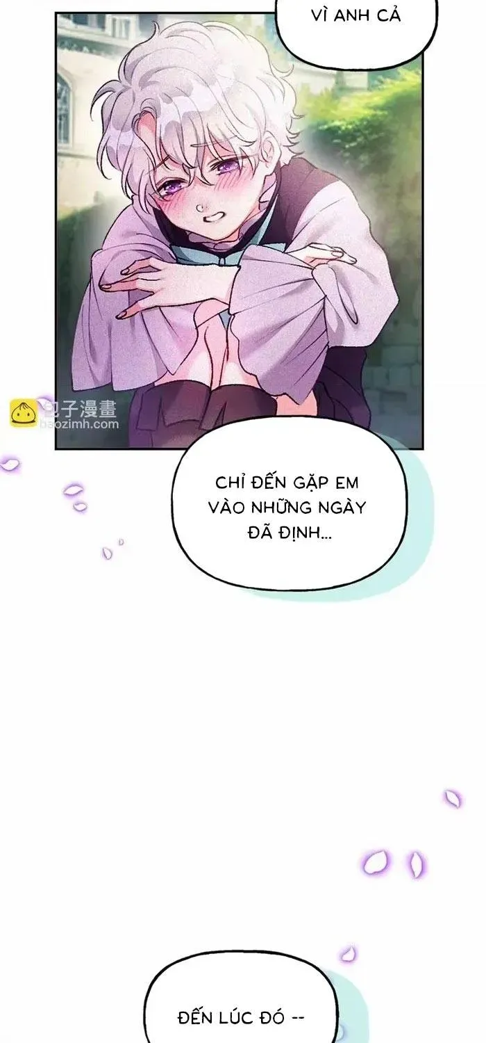 Bệ Hạ, Xin Hãy Ghét Ta Chapter 28 - 43