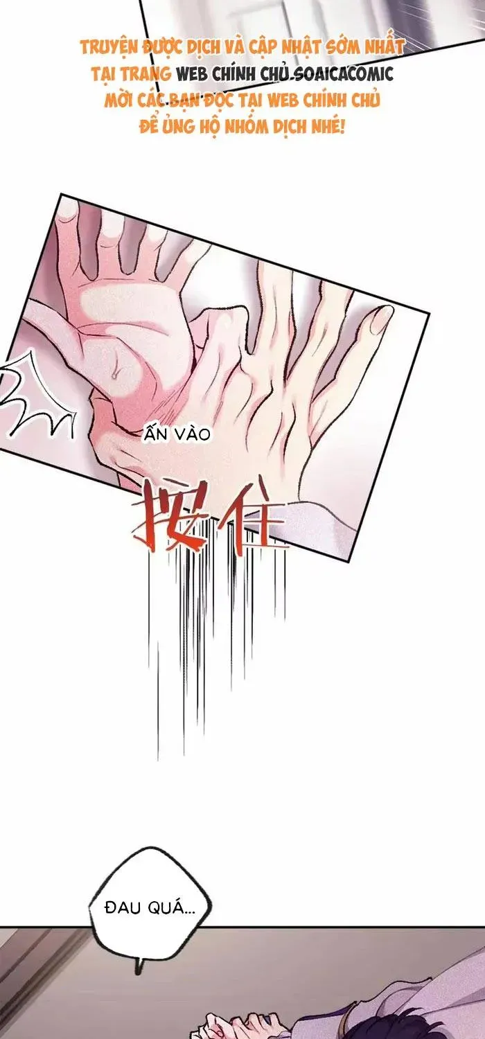 Bệ Hạ, Xin Hãy Ghét Ta Chapter 29 - 66