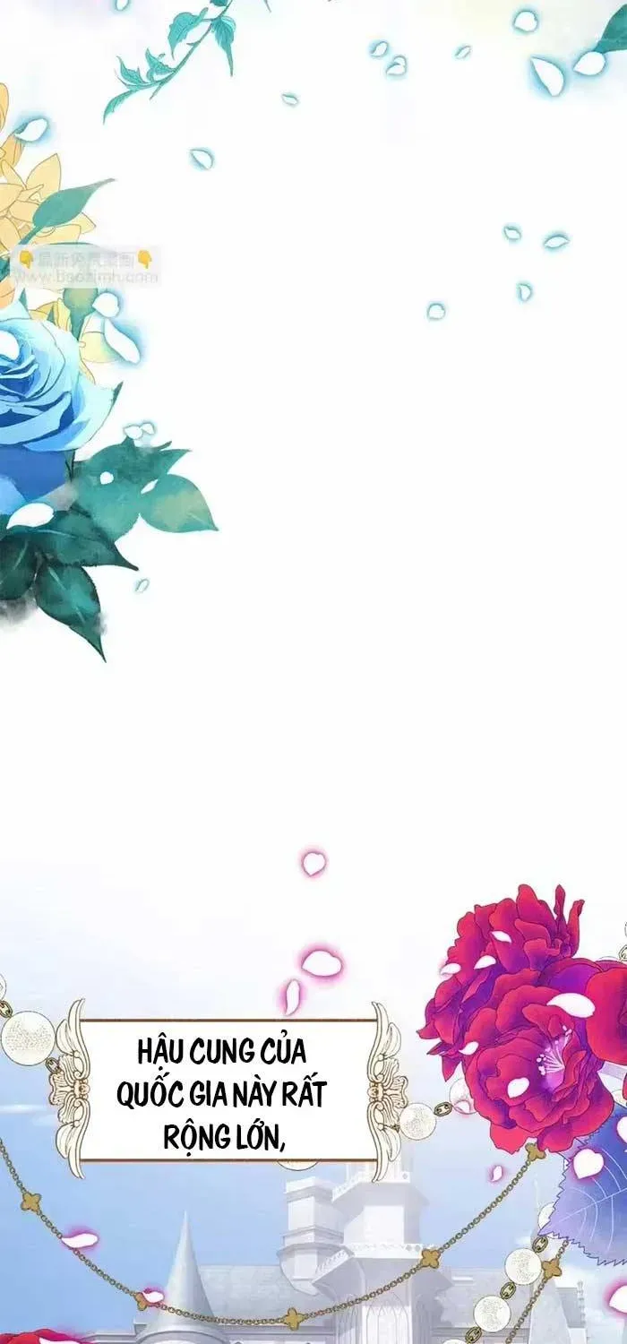 Bệ Hạ, Xin Hãy Ghét Ta Chapter 3 - 7