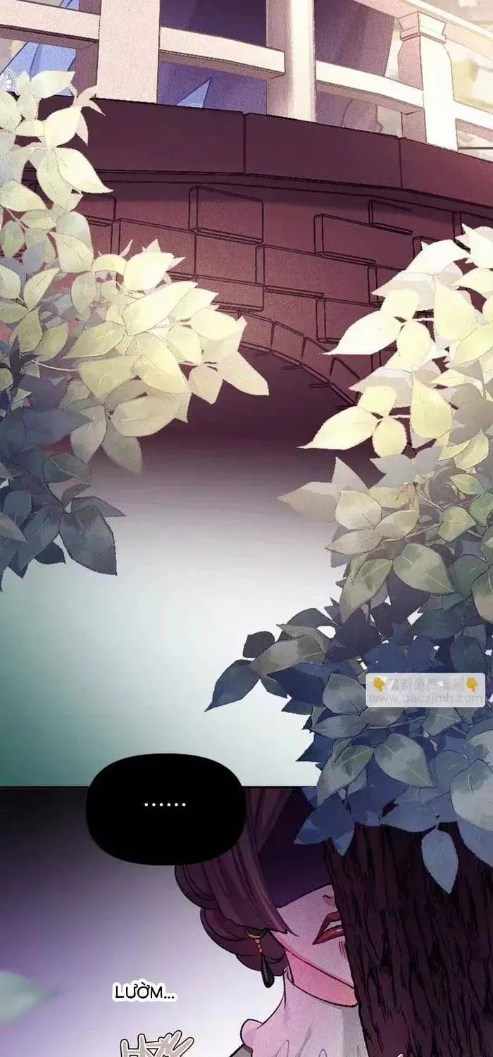 Bệ Hạ, Xin Hãy Ghét Ta Chapter 31 - 64