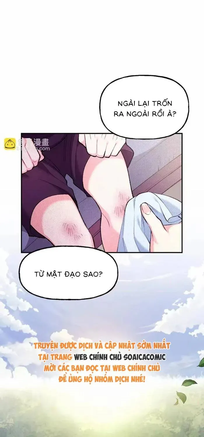 Bệ Hạ, Xin Hãy Ghét Ta Chapter 33 - 24