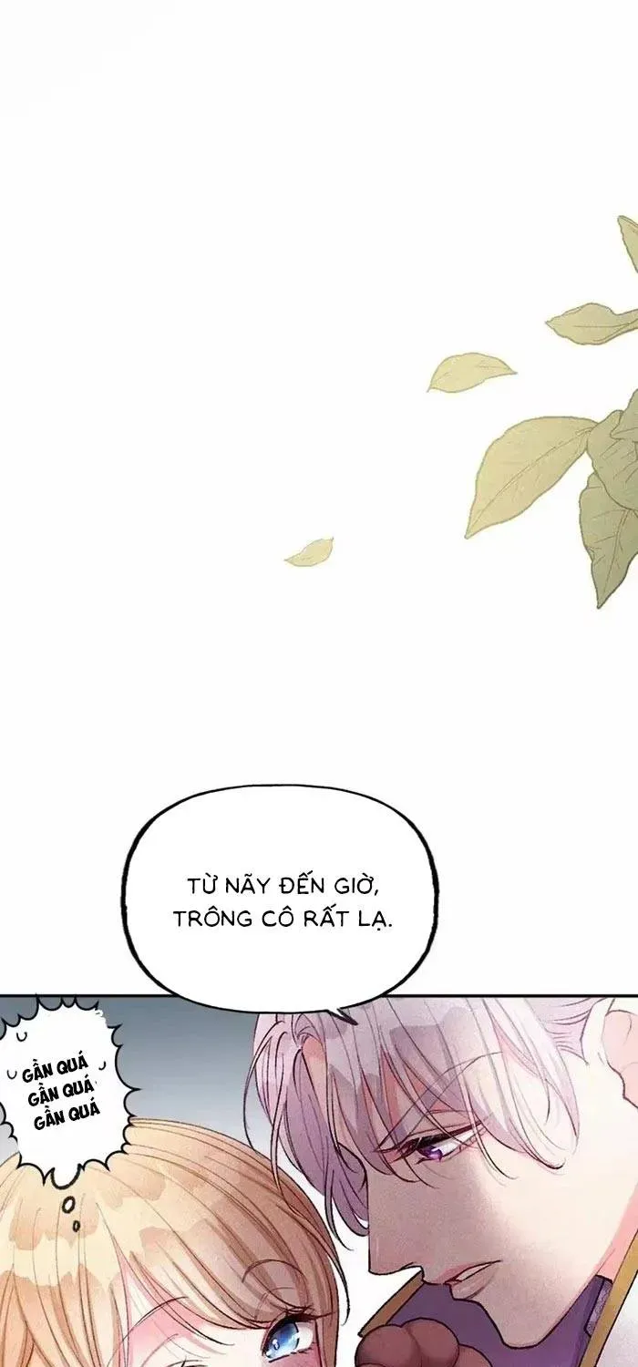 Bệ Hạ, Xin Hãy Ghét Ta Chapter 34 - 11