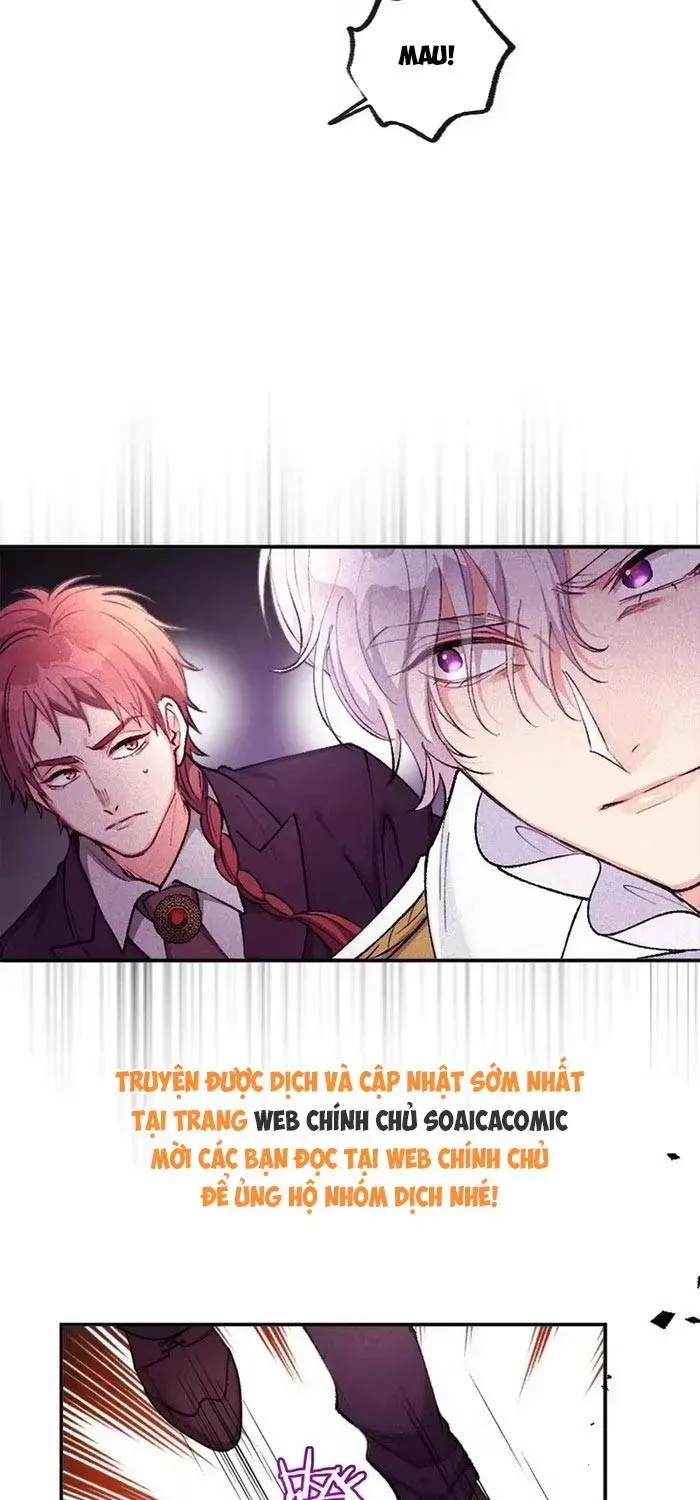 Bệ Hạ, Xin Hãy Ghét Ta Chapter 41 - 8