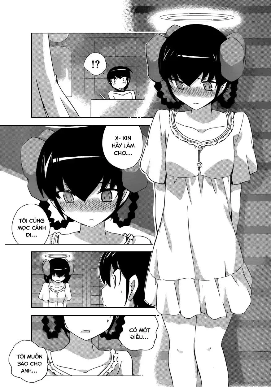 The World God Only Knows Chapter 167 - 15