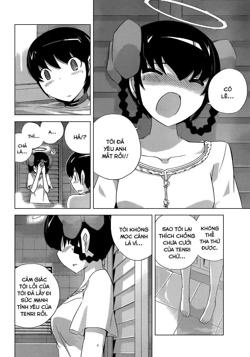 The World God Only Knows Chapter 167 - 16