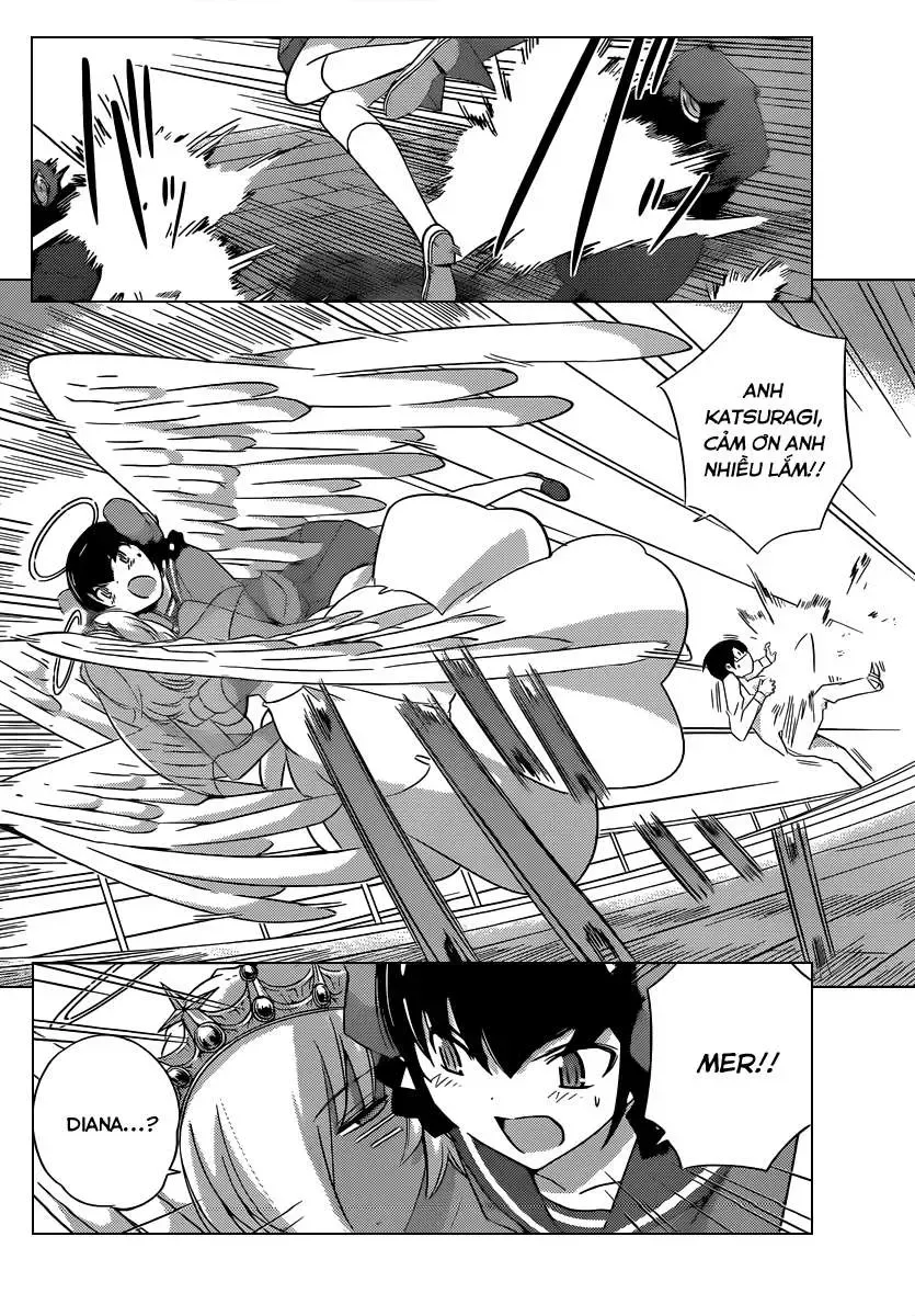The World God Only Knows Chapter 187 - 14
