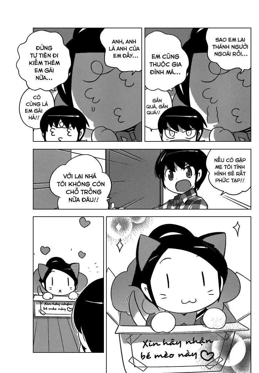 The World God Only Knows Chapter 202 - 11