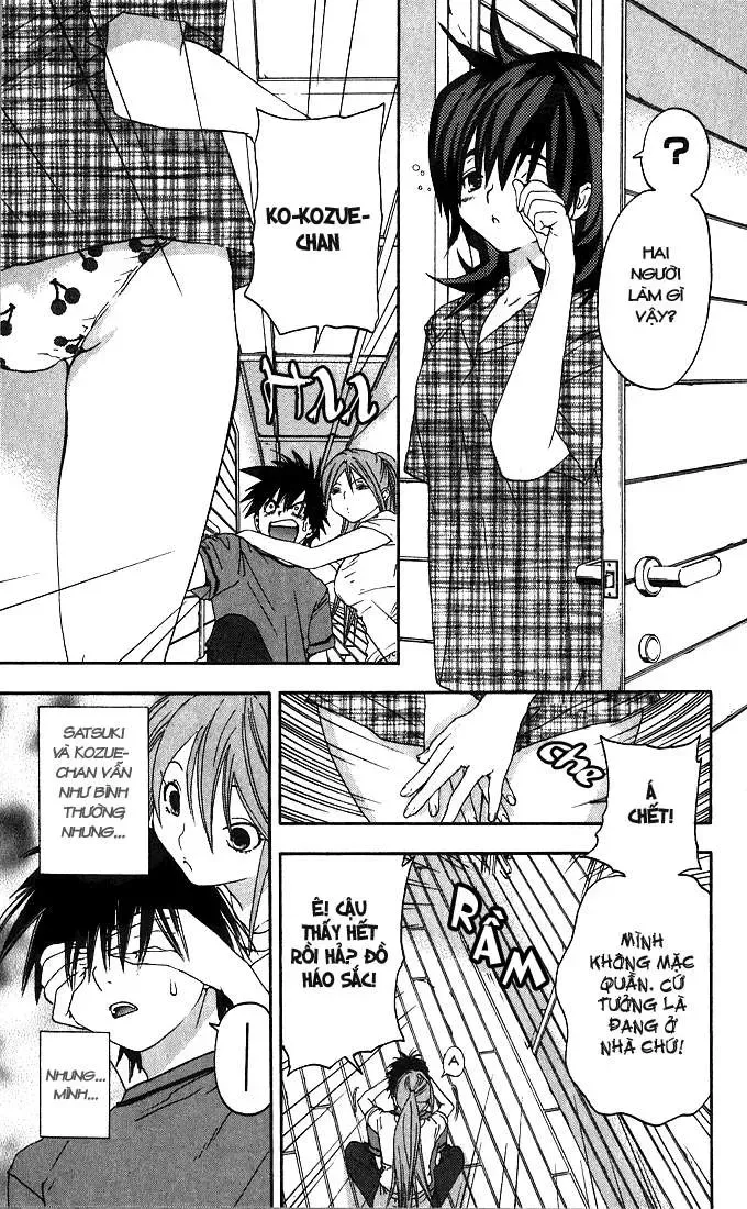 Ichigo 100% Chapter 135 - 15