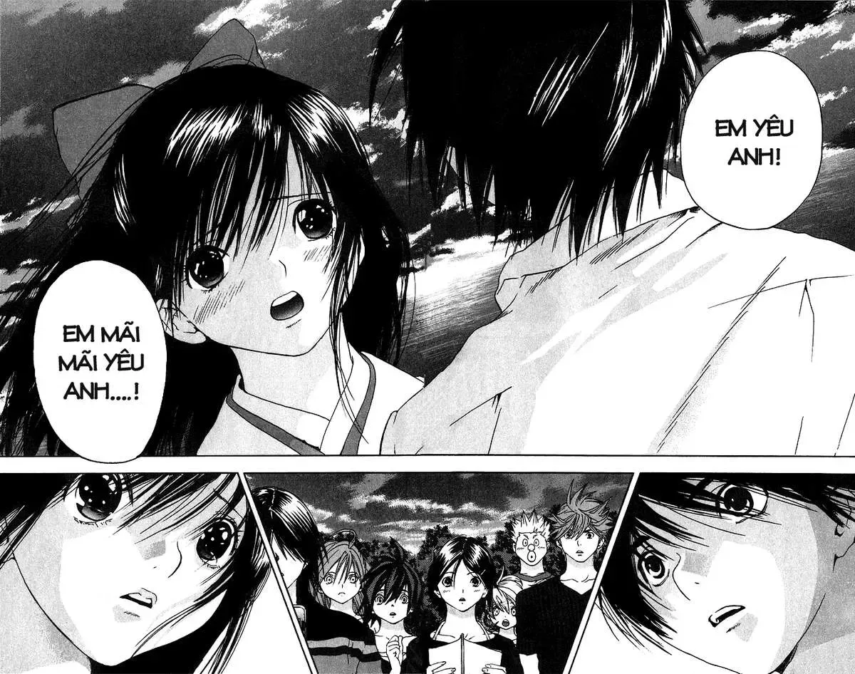 Ichigo 100% Chapter 135 - 24