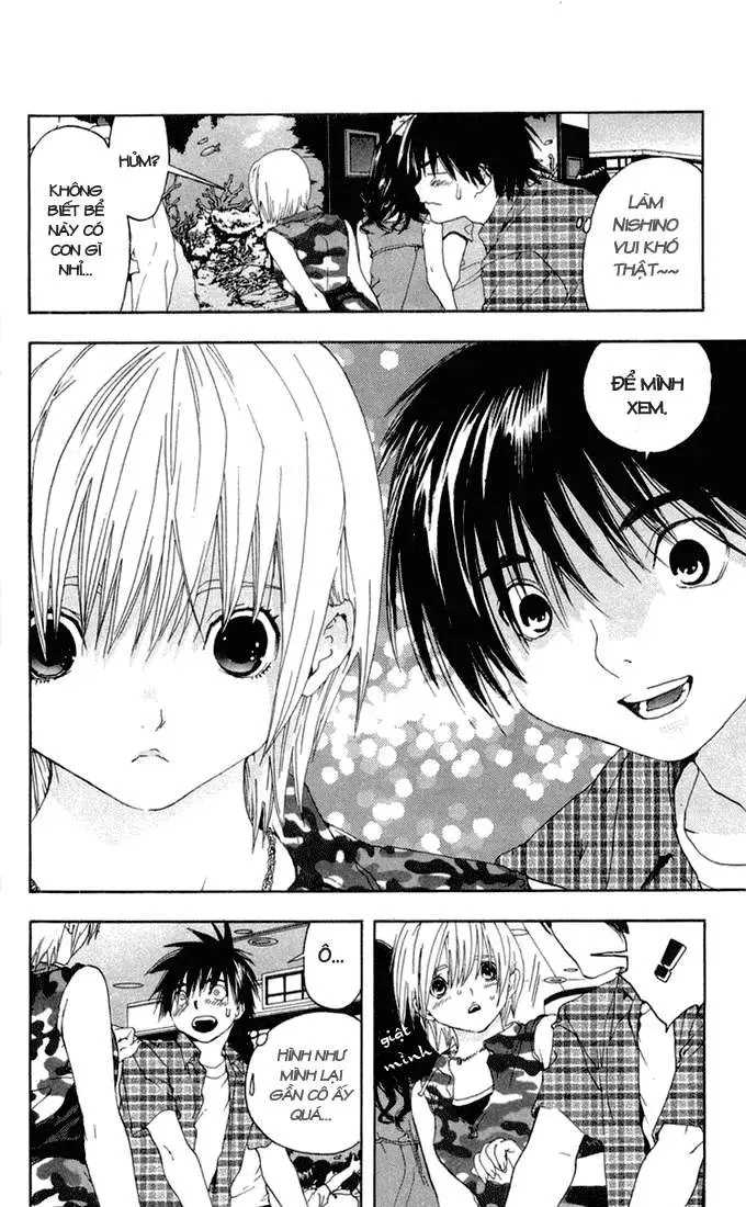 Ichigo 100% Chapter 141 - 13