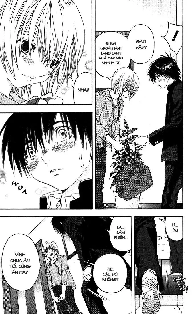 Ichigo 100% Chapter 154 - 4