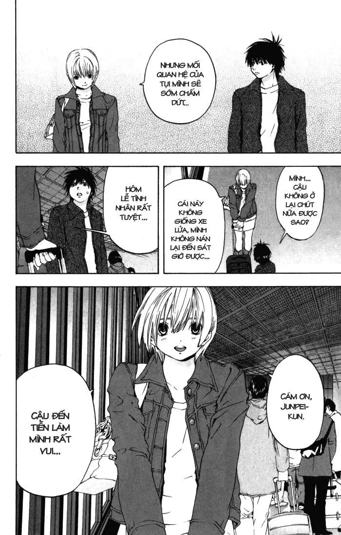 Ichigo 100% Chapter 165 - 15