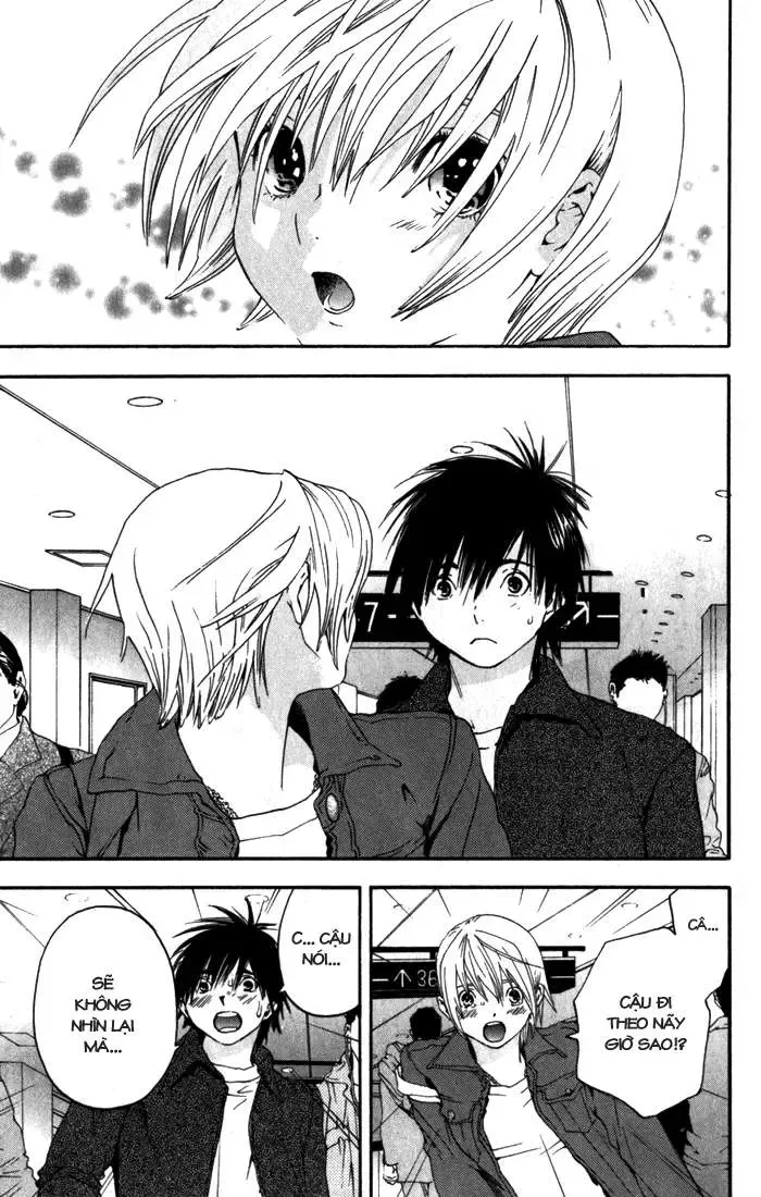 Ichigo 100% Chapter 165 - 18