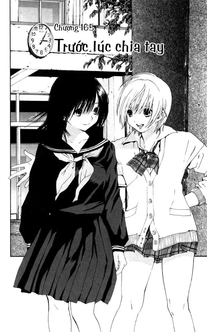 Ichigo 100% Chapter 165 - 3