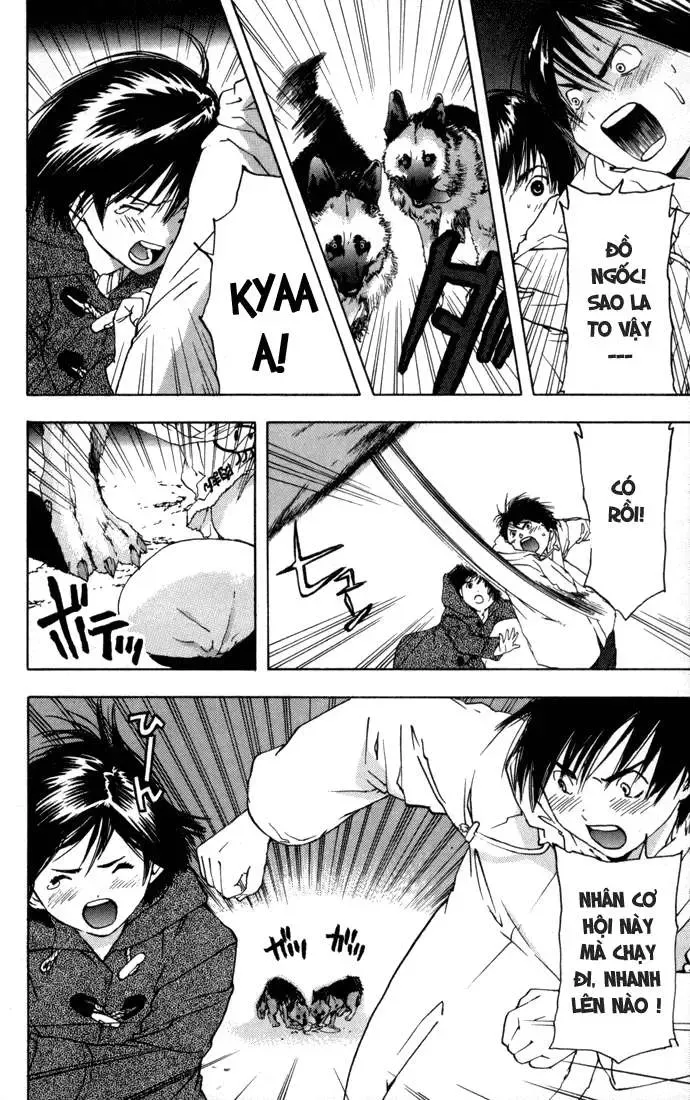 Ichigo 100% Chapter 40 - 16