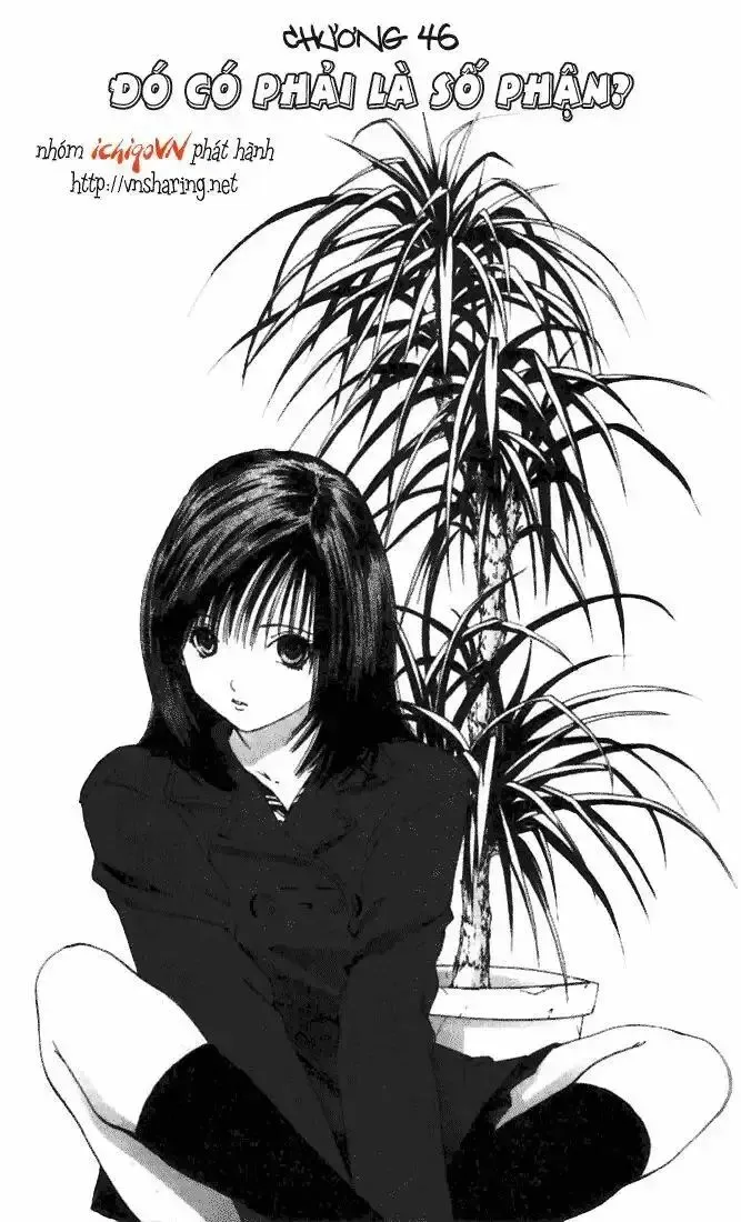 Ichigo 100% Chapter 46 - 2