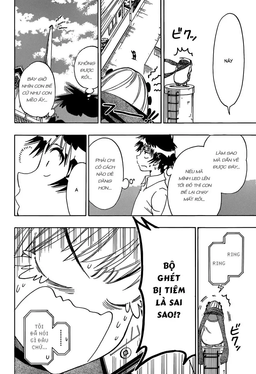 Nisekoi Chapter 103 - 15