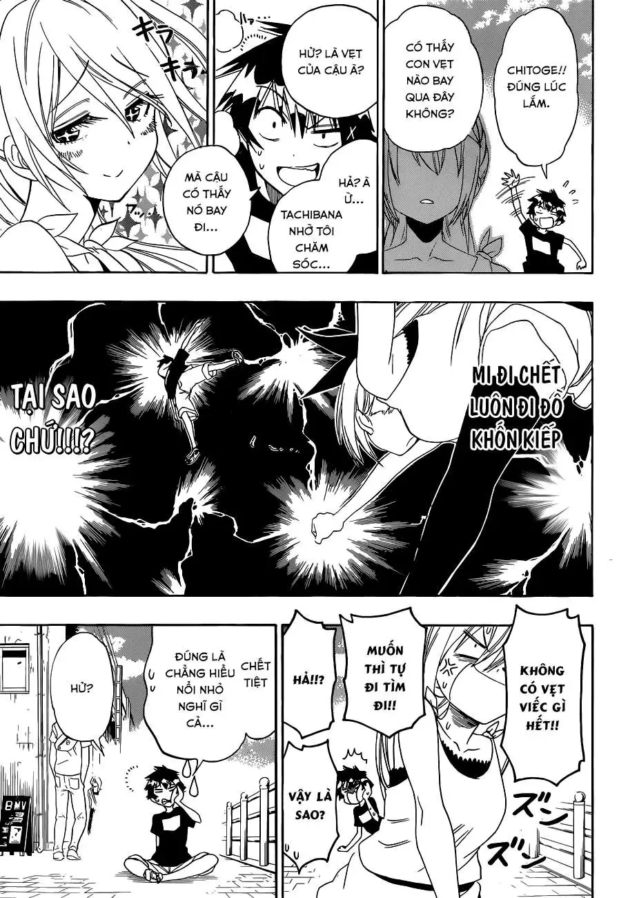 Nisekoi Chapter 104 - 12