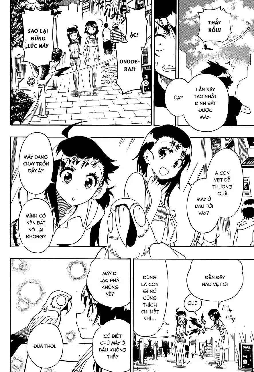 Nisekoi Chapter 104 - 13