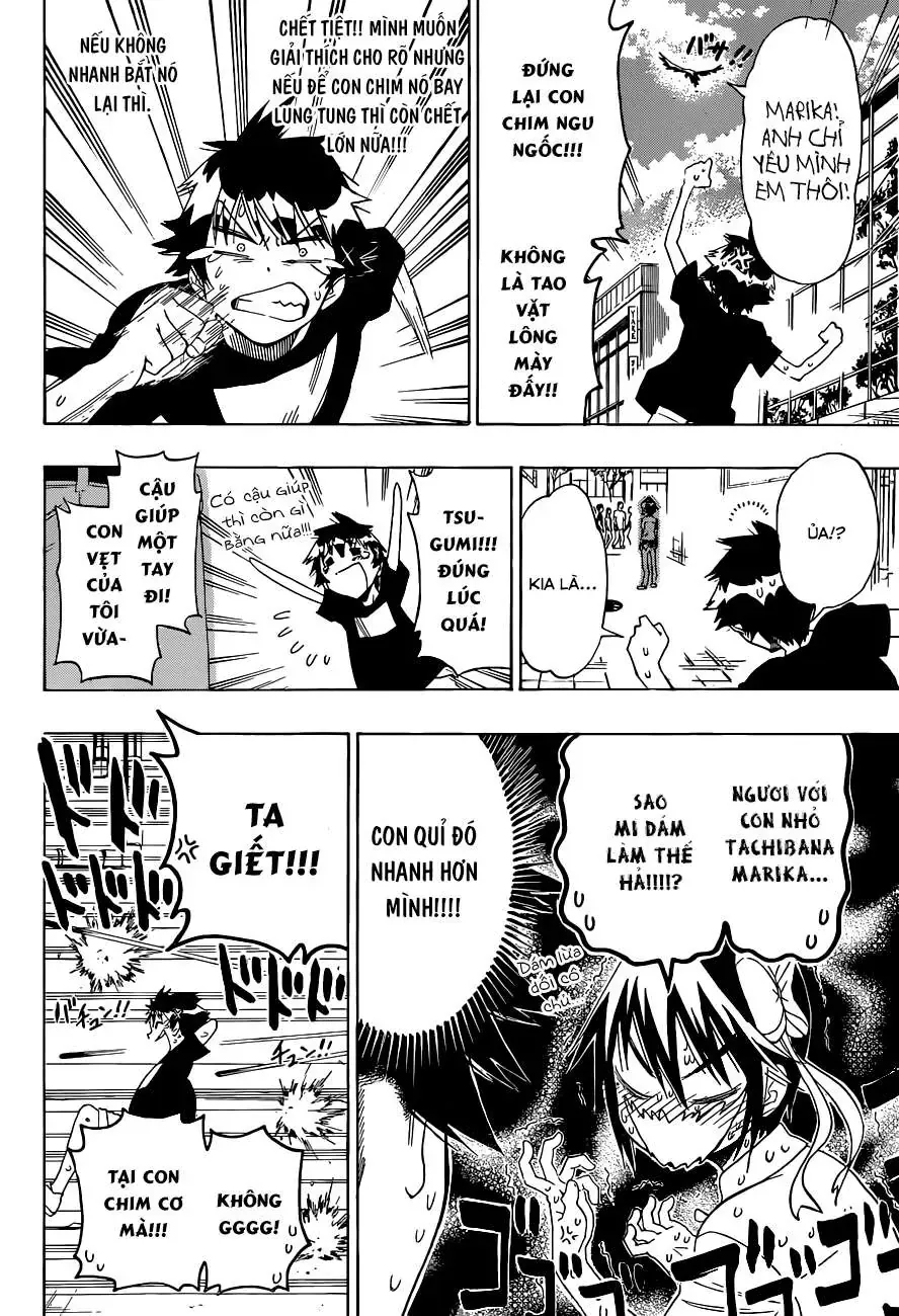 Nisekoi Chapter 104 - 15