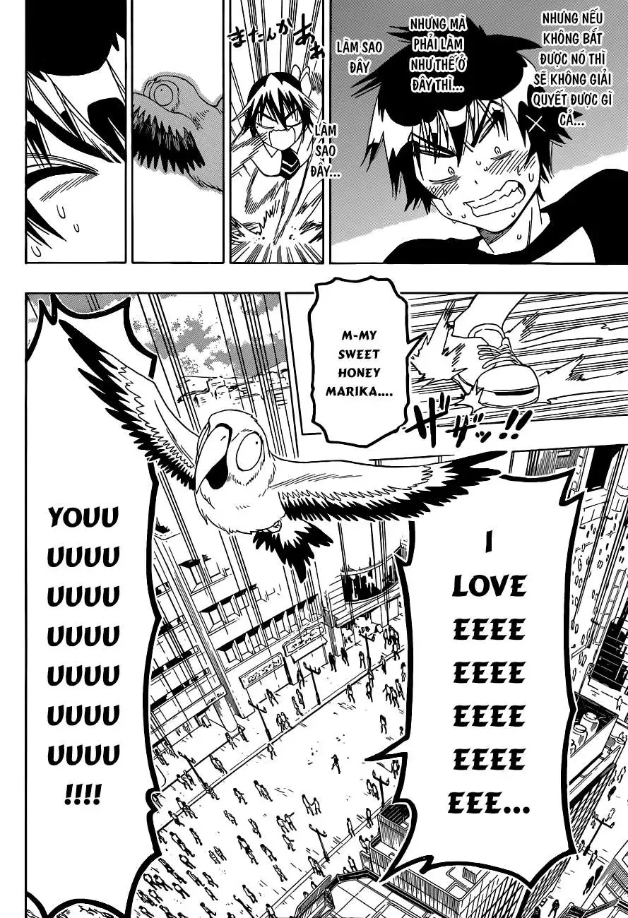 Nisekoi Chapter 104 - 17