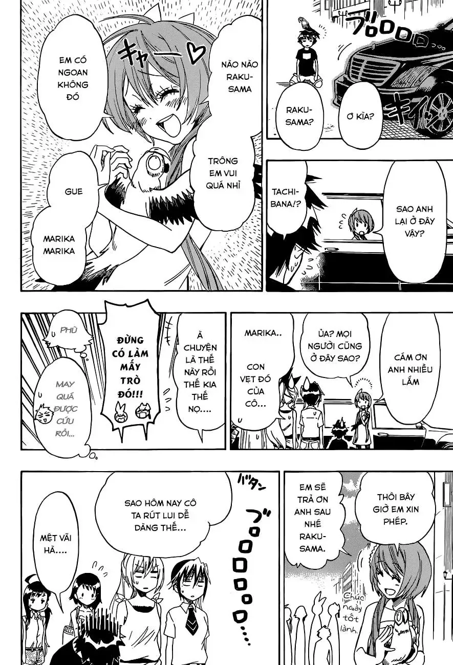 Nisekoi Chapter 104 - 19