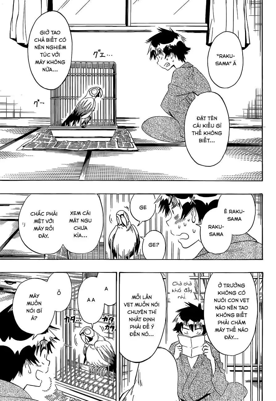 Nisekoi Chapter 104 - 4