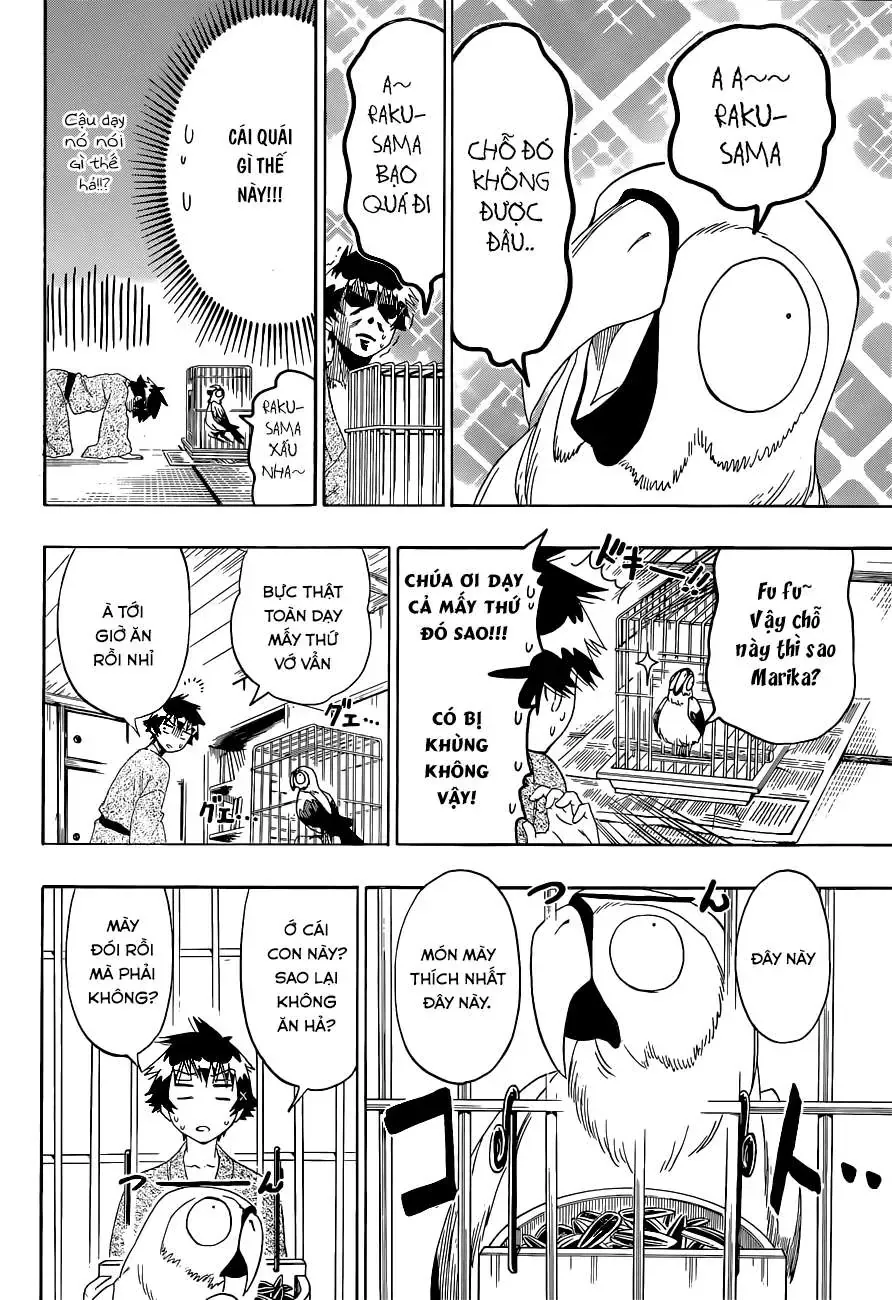Nisekoi Chapter 104 - 5