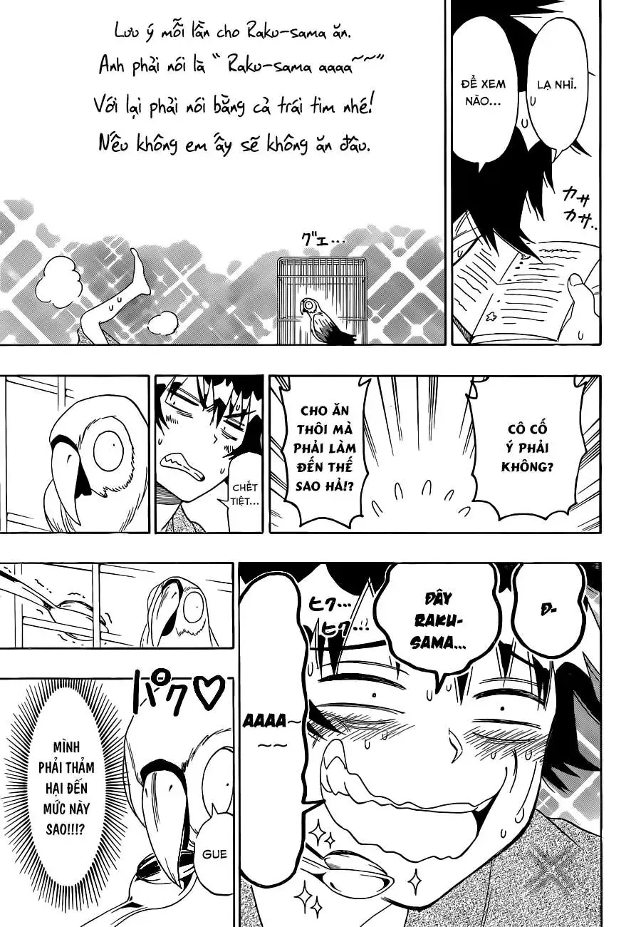 Nisekoi Chapter 104 - 6