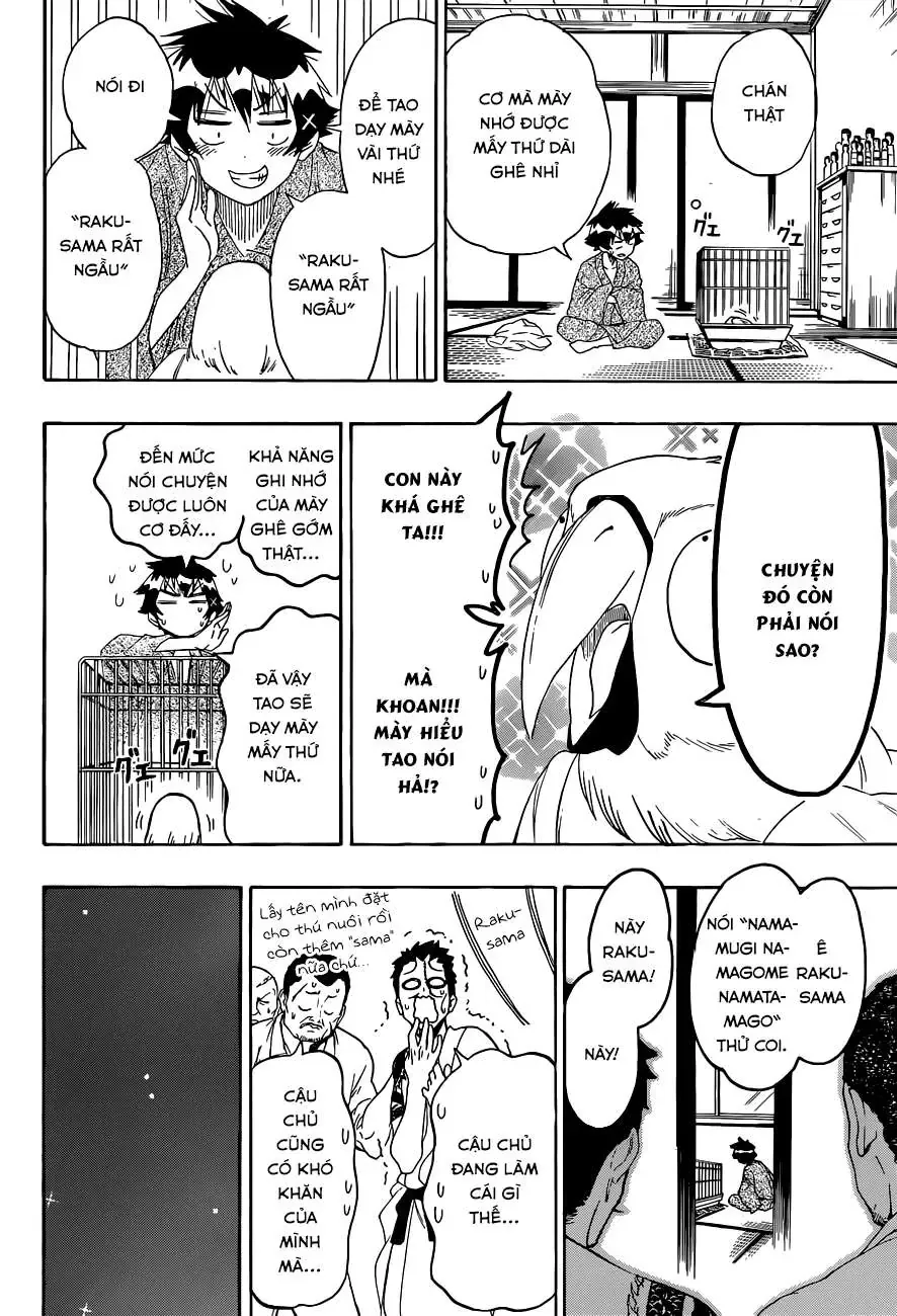 Nisekoi Chapter 104 - 7