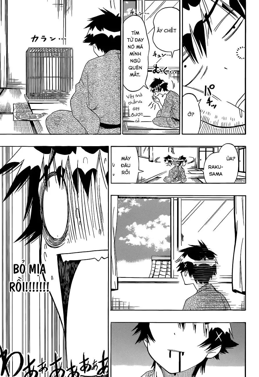 Nisekoi Chapter 104 - 8