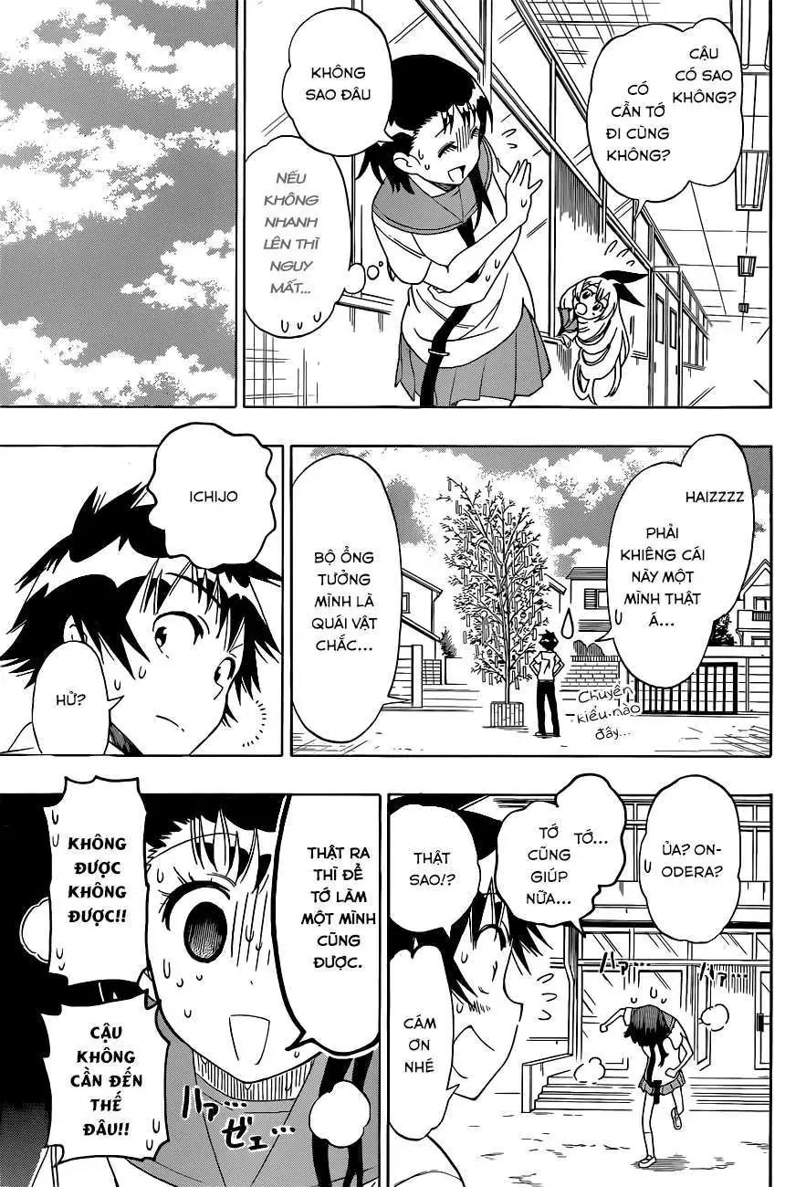 Nisekoi Chapter 105 - 12