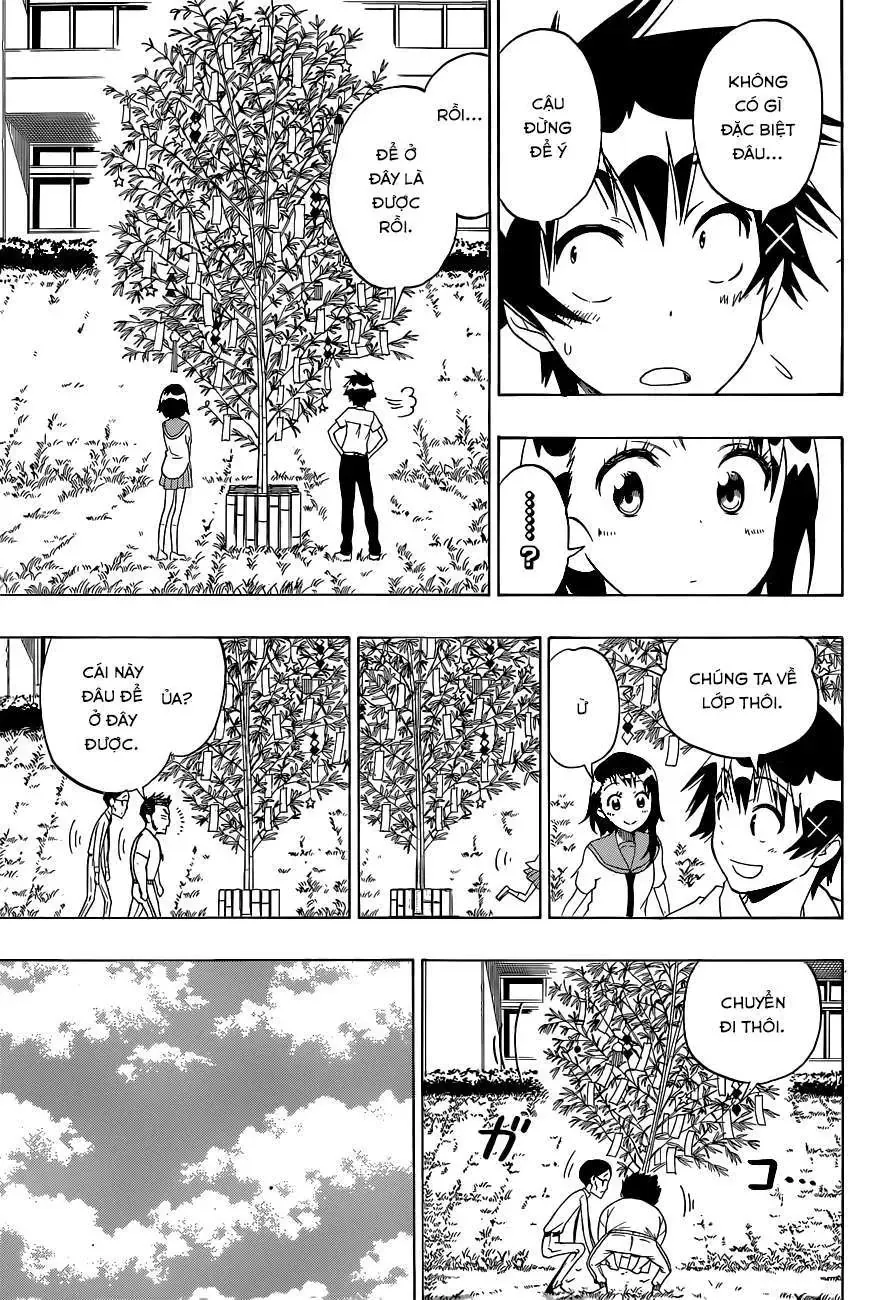Nisekoi Chapter 105 - 14