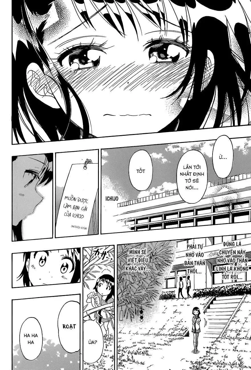 Nisekoi Chapter 105 - 19