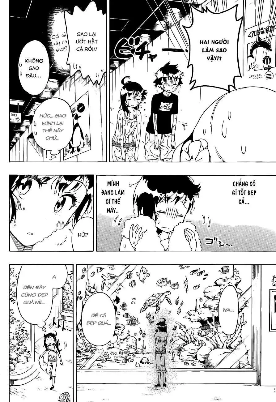 Nisekoi Chapter 110 - 13