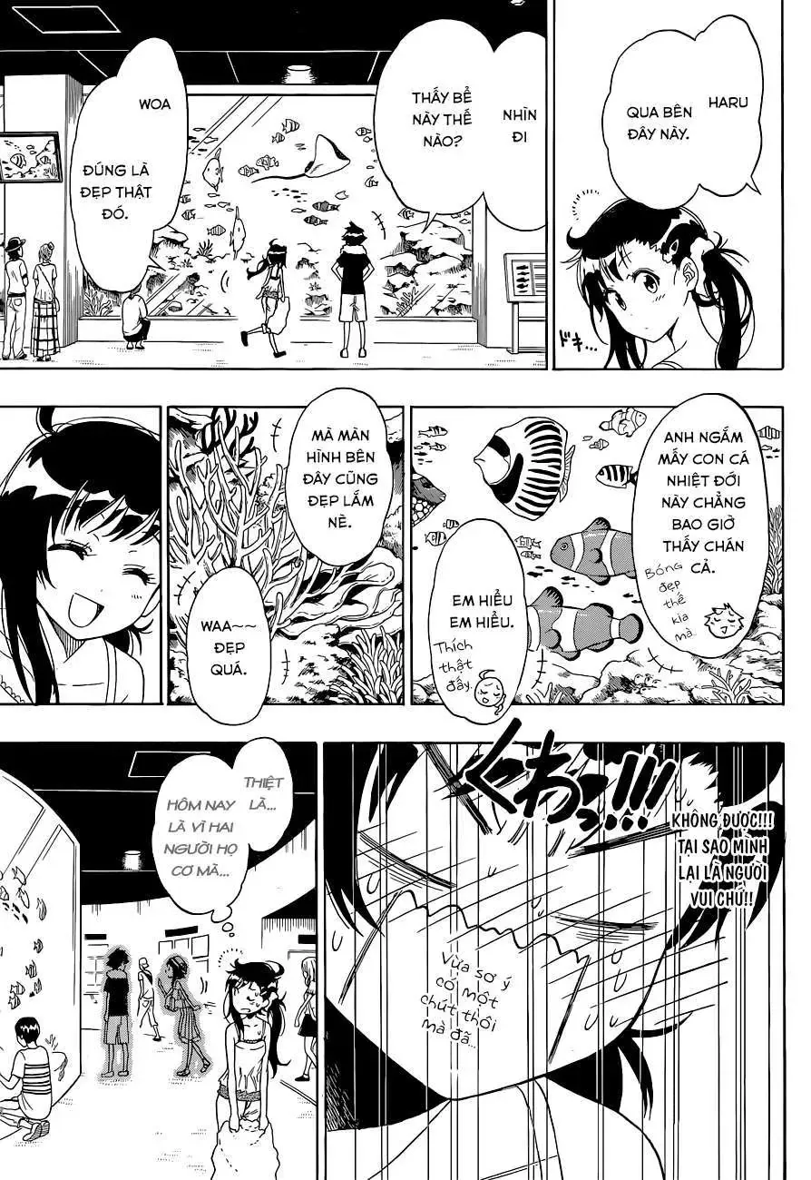 Nisekoi Chapter 110 - 14