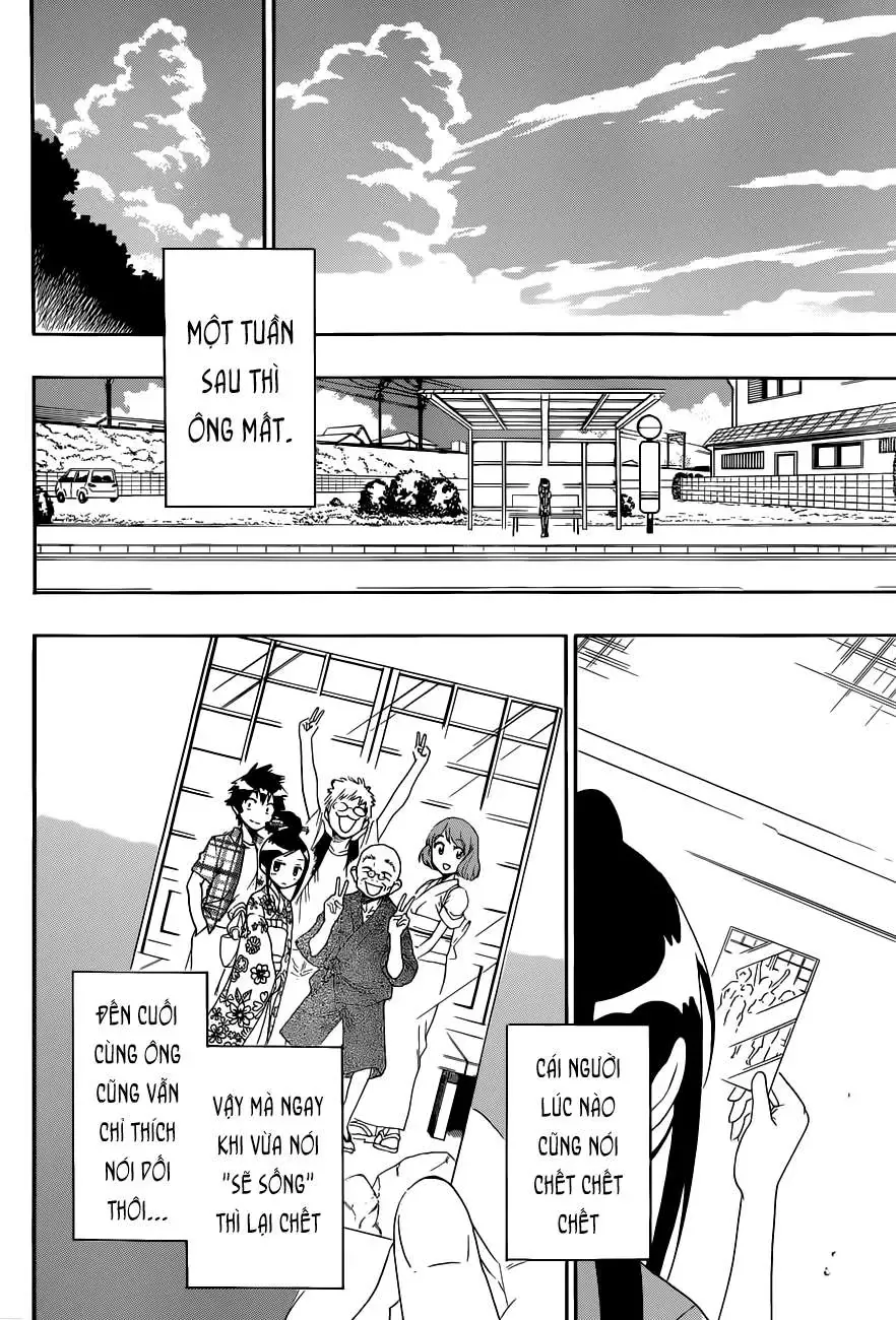 Nisekoi Chapter 115 - 17