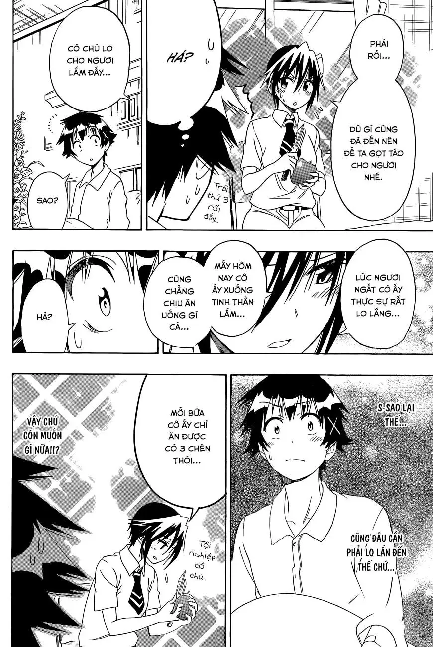 Nisekoi Chapter 117 - 13