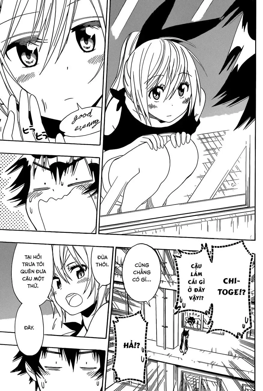 Nisekoi Chapter 117 - 18