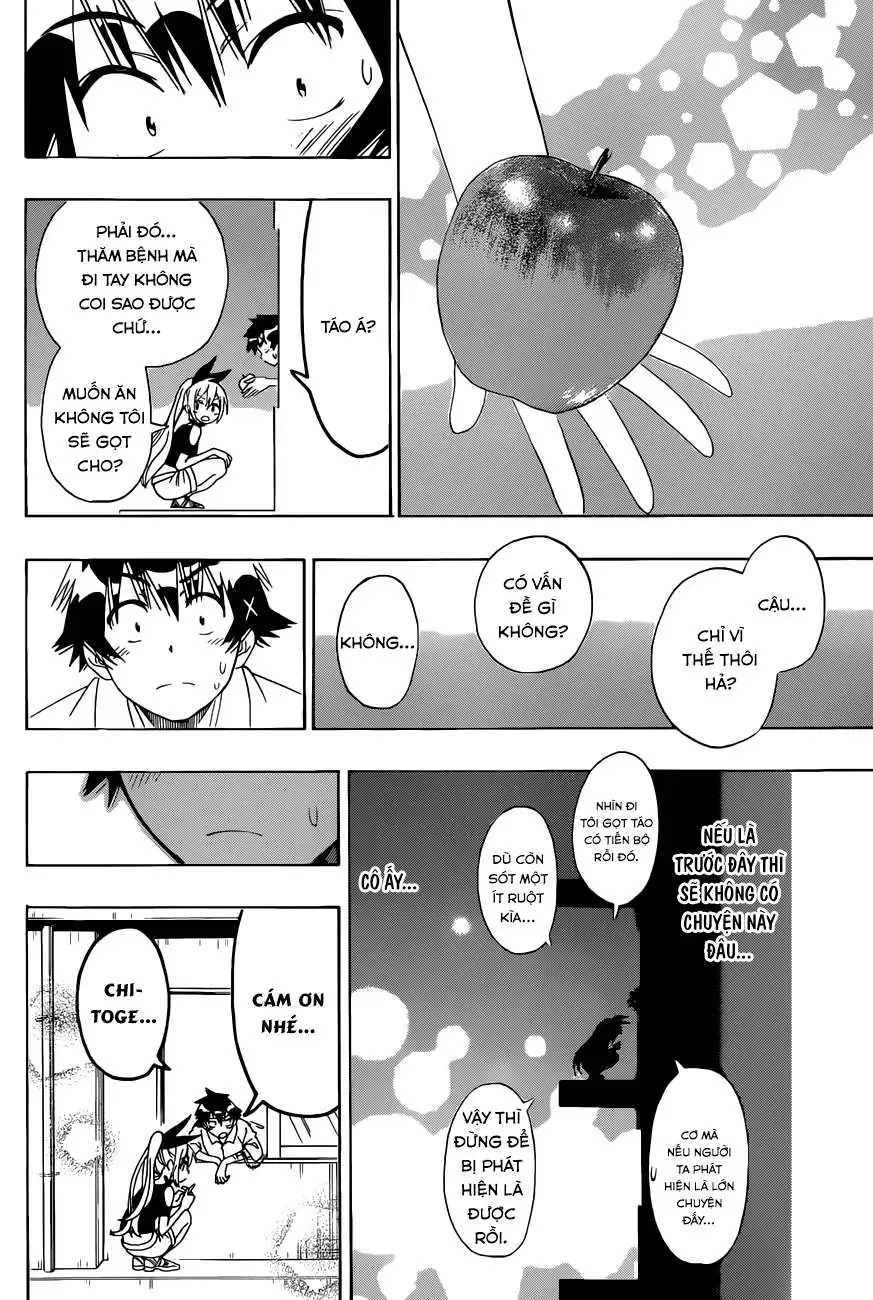 Nisekoi Chapter 117 - 19
